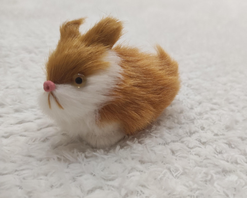 Купить Заяц мини во Миллерово фото 4 Заяц мини во Миллерово фото 4